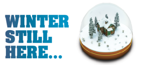 March 2013 ACSI Newsletter