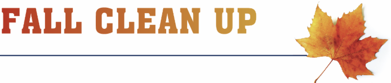 FALL CLEAN UP